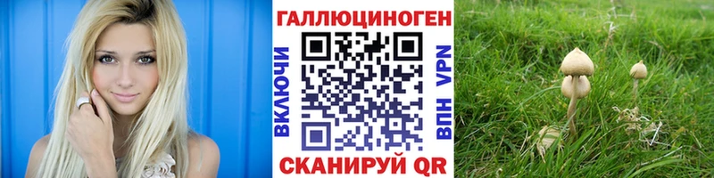 Псилоцибиновые грибы Psilocybine cubensis  Красноперекопск 