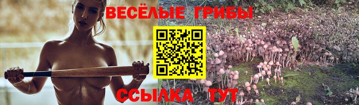 Галлюциногенные грибы Cubensis  цены наркотик  Вход с VPN  Красноперекопск  Галлюциногенные грибы мухоморы 